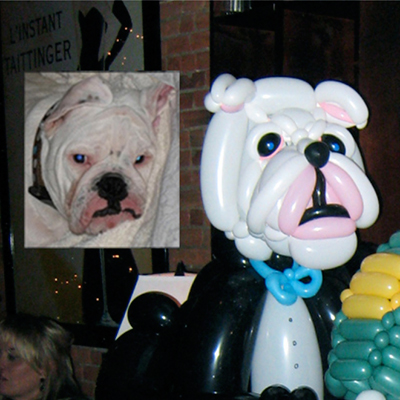 Image of an actual dog's face with a matching balloon dog face.